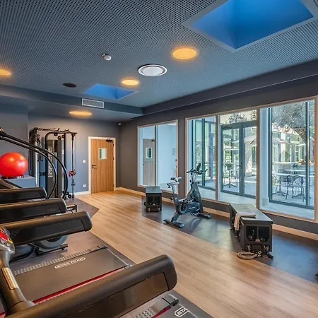 Hotel Golden Tulip Lyon Ouest Techlid 4*